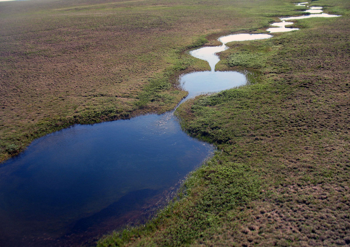 Bill's Creek beaded stream