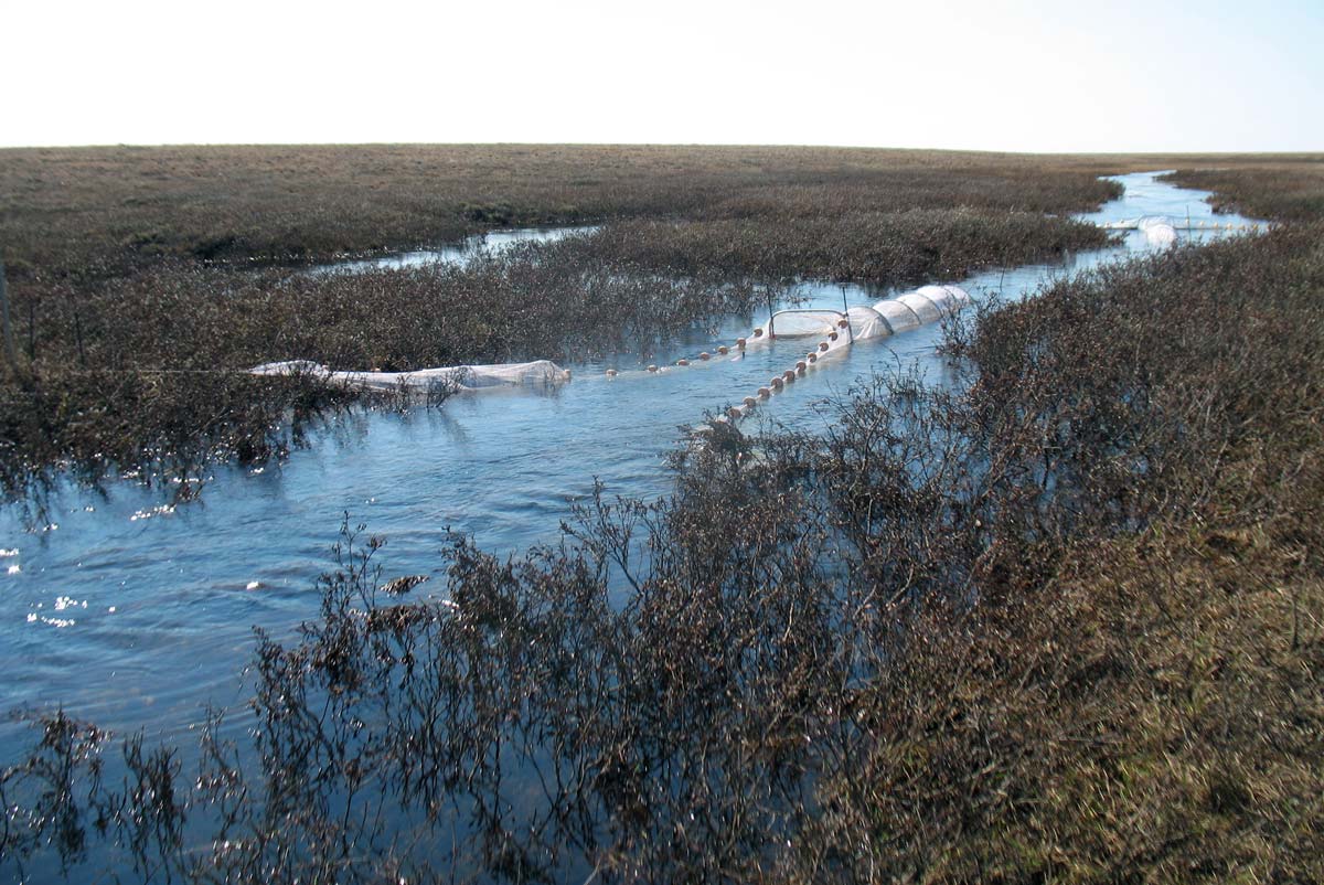 Crea Creek